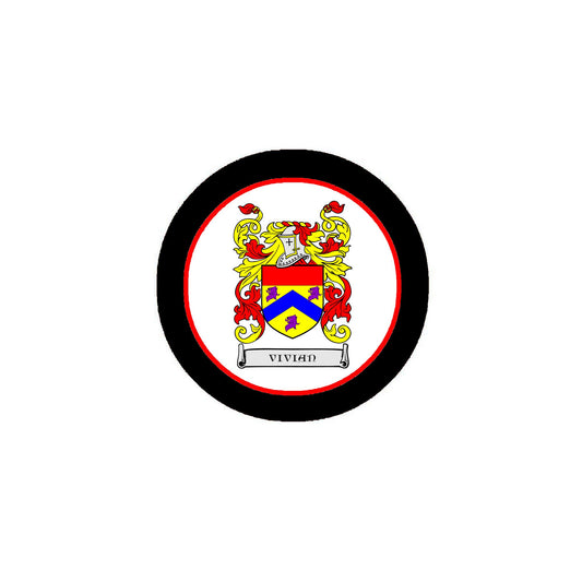 Vivian Family Crest 3" Coat of Arms Fridge Round Magnet