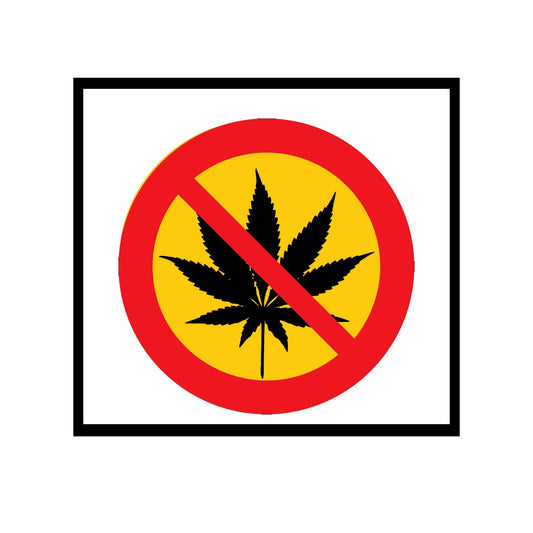 Drug Free Environment 2.25" Pinback Button Badge/Pin