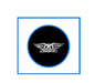 Round pinback button with black face and white winged logo emblem