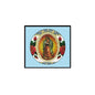 2.25-inch Virgin Guadalupe medallion pin with circular portrait and glowing rays