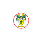 Round pinback badge with Sutton crest: red border, yellow shield, green lions