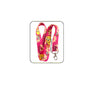 Cute pink lanyard with cartoon bird print, flower pattern, and metal clip/keyring