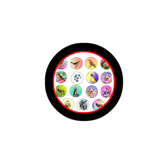 20 Pcs Vintage Oriental Wild Birds Retro Art Pinbacks for Jackets, Backpacks, etc.