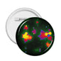 Round rainbow pride button pin with starburst confetti design, glossy finish