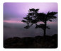 Decorative mouse pad with landscape scene and silhouetted tree over dark hills