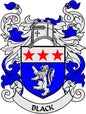 Family crest magnet: blue shield with lion, three red stars, 'BLACK' label
