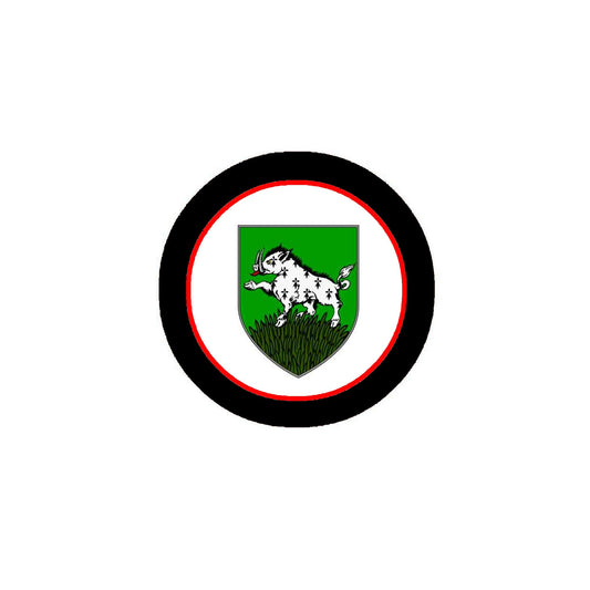 Hanlon 3-inch Coat of Arms Fridge Round Magnet Default Title