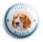 Beagle pinback button badge with beagle portrait and 'I LOVE BEAGLE' text