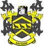 Baynard family crest arms magnet: shield with three black birds, yellow accents and BAYNARD text