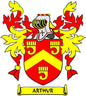 Family crest coat of arms magnet with red/yellow shield and gold ARTHUR scroll