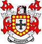Coat of arms pinback featuring a red-and-white shield with yellow dot border, 'BANESTER' ribbon