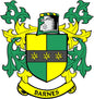 Family crest arms magnet with green and yellow shield and 'BARNES' banner