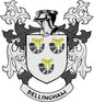 Bellingham family crest pinback with shield, bow details, and 'BELLINGHAM' ribbon