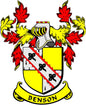 Benson family crest coat of arms pinback with red, yellow, and black shield design