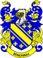 Bingham coat of arms pinback badge with blue, yellow shield and crest