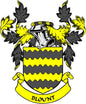 Family crest pinback: shield with wavy bands and yellow-gold accents, black coat of arms
