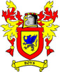 Boys family crest pinback with red flames, shield design, and banner reading "BOYS"