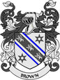 Coat of arms pinback with Brown family crest shield and lion and star symbols