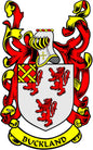 Coat of arms pinback with white shield, red lions, and gold “BUCKLAND” banner