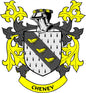Coat of arms pinback with black-and-gray shield, yellow birds, and 'CHENEY' banner