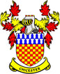 Colorful family crest pinback with shield, checkered red-yellow, blue battlements and ribbon