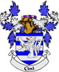 Enamel family crest pinback with blue-and-gold coat of arms shield and Cini banner