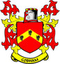 Cobham coat of arms enamel pinback, red and yellow shield with crest and banner
