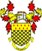 Colshill coat of arms pinback badge with red and yellow shield and checker pattern