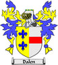 Dalen family crest coat arms pinback with shield, fleur-de-lis, and “Dalen” banner