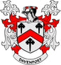 Davenport family crest coat of arms pinback with red flames and shield, white banner