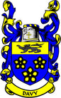 Blue and yellow Davy coat of arms enamel pin with 'DAVY' ribbon banner