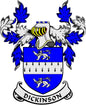 Dickinson family crest enamel coat of arms pinback with blue shield and ribbon banner