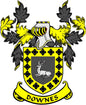 Downes family crest coat arms magnet with shield, deer, and black-yellow design