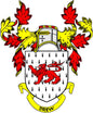 Drew family crest coat of arms pinback with shield, red lion, and decorative crown