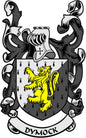 Family crest pinback with dark shield, yellow lion, and 'Dymock' banner