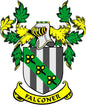 Family crest enamel pinback with striped shield, green leaves, and Falconer banner