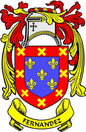 Fernandez family crest enamel pinback with red, blue, yellow shield and scroll border