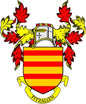 Family crest coat of arms pinback with red and yellow striped shield