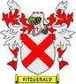 Fitzgerald family crest coat of arms magnet with white shield, red X, and flames