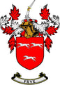 Frye family crest enamel pinback with red shield, gold details, and lions