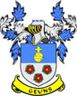 Family crest coat of arms pinback with blue-white shield, yellow cross, red flowers, GEUNS