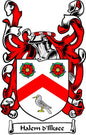 Coat of arms pinback: red and black shield with bird, flowers, and banner text Halem 'llksee
