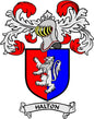 Halton family crest coat of arms pinback badge with red-and-blue lion shield and HALTON banner