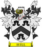 Coat of arms pinback with black-and-white shield, red accents, and yellow “HILL” banner