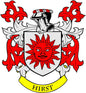 Hirst coat of arms pinback with red sun face shield and gold ribbon reading HIRST