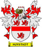 Hofstadt family crest enamel pinback with shield, red lions and flame details