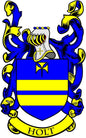 Holt family crest pinback with blue-and-yellow shield and gold detailing, “HOLT” text