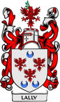 Family crest coat of arms magnet, 3-inch, red and white heraldic shield with lions