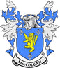 Family crest coat of arms pinback with blue shield, yellow lion, and ribbon banner