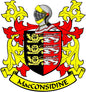Family crest pinback badge with shield, red and black stripes, lion details, yellow banner